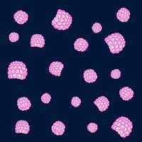 Seamless vector pattern of raspberries