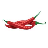 diseño de vector de pimiento picante rojo