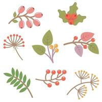 Set of colorful autumn leaves and berries. Isolated on white background. Simple cartoon flat style. vector illustration.