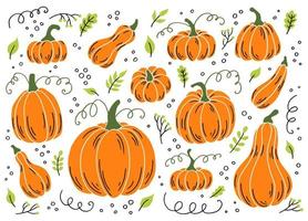 Pumpkin of various shapes. Thanksgiving and Halloween Elements. Hand drawn vector illustration.