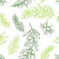 Seamless pattern with olive branches. Hand drawn illustration. vector