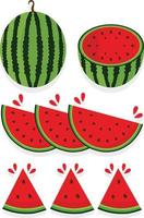 Watermelon Illustration Set vector