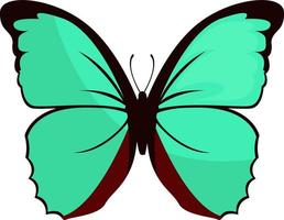 mariposa verde, ilustración, vector sobre fondo blanco