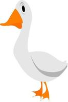 White goose, illustration, vector on white background.