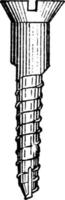 Wood Screw, vintage illustration. vector