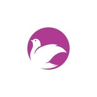 Bird wing Dove icon Template vector