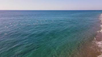 Aerial drone video over coast and sea. enjoy the magnificent sea and beach