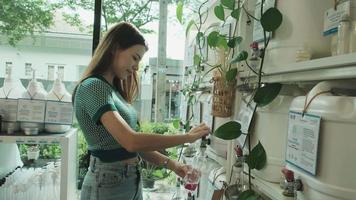 wit vrouw klant vult vloeistof zeep in recycle fles van herbruikbaar containers in Zero waste en bijvullen op te slaan, milieuvriendelijk winkel. Thais tekst etiketten gemeen shampoo, zeep, en huis huishoudelijke apparaten. video