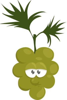 Sad grapes , illustration, vector on white background
