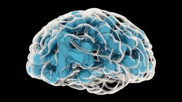 un cerebro humano dando vueltas a las ideas. video