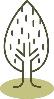 Pine tree, illustration, vector on a white background.