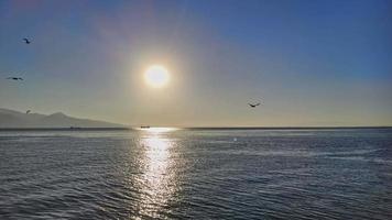 vue panoramique sur les mouettes au-dessus de la mer contre le ciel pendant video