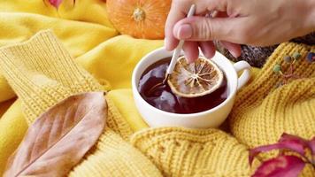 Hello fall. Cozy warm image. Cozy autumn composition, sweater weather. Pumpkins, hot tea with lemon and sweaters on window video