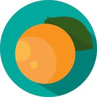 Fresh orange the fruit, illustration, vector, on a white background. vector