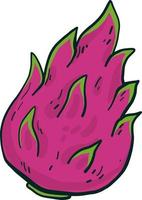 Pink pitaya , illustration, vector on white background