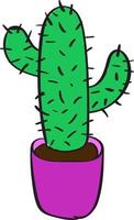Cactus in pot, illustration, vector on white background.