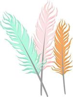 Pretty feathers, illustration, vector on white background