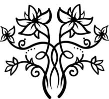 Decorative jasmine, illustration, vector on white background.