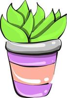 Home plant in a pot ,illustration,vector on white background vector