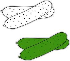 Fresh cucumber, illustration, vector on white background.