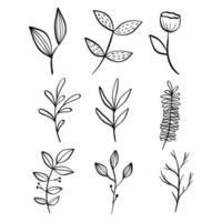 Black line doodle flowers and leaves on white background. Vector illustration about nature.