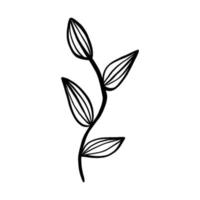 Black line doodle leaves on white background. Vector illustration about nature.