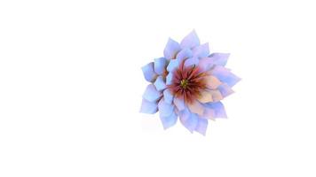 representación 3d de la flor botánica del nenúfar foto