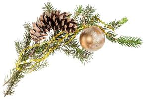 branch of spruce tree with cone and gold ball photo