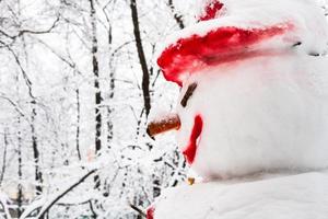 snowman in snow-covered public garden in winter photo