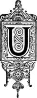 u, ilustración vintage inicial ornamentada. vector