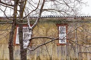 bare tree and wall of old wooden house photo