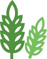 Wheat plant, icon illustration, vector on white background