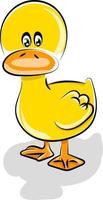 Little duck, illustration, vector on white background.