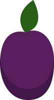 Purple plum, illustration, vector on a white background.