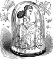 Doll in Glass Case, vintage illustration. vector