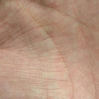 Close up of human hand skin with visible skin texture and lines photo