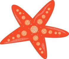 Red sea star, illustration, vector on white background.