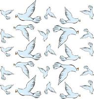 Doves, illustration, vector on white background.