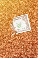 The background texture of a large pile of buckwheat, in the middle of which you see a bill of one US dollar. The concept of higher prices for cereals photo
