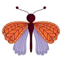 animal insecto mariposa, alas decorativas sobre fondo blanco vector