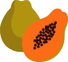 Papaya fruit, illustration, vector on white background.