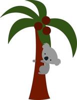 Koala on palm tree, illustration, vector on white background.