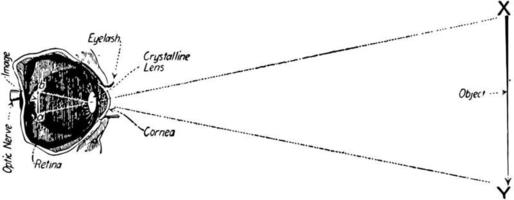 Eye Focusing on Object, vintage illustration. vector