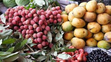 Mangos and lychee fruit display in greens and other fruit video