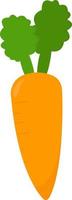 Orange carrot, illustration, vector on white background.