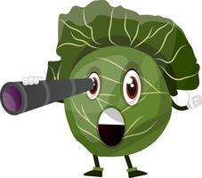 Cabbage with a spyglass, illustration, vector on white background.