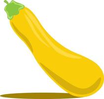 Yellow zucchini, illustration, vector on white background.