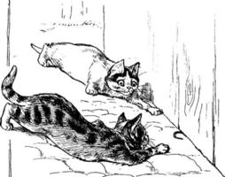 Kittens, vintage illustration. vector