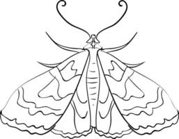 Moth sketch, illustration, vector on white background.