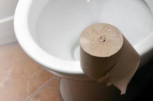 A roll of gray toilet paper lies on a white ceramic toilet in the bathroom photo